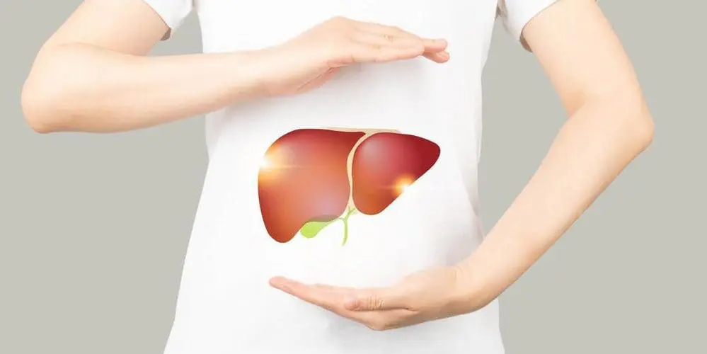 The Connection Between Liver Health and Skin Clarity